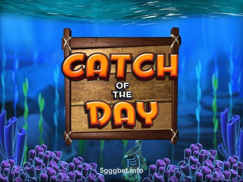 Catch of the Day